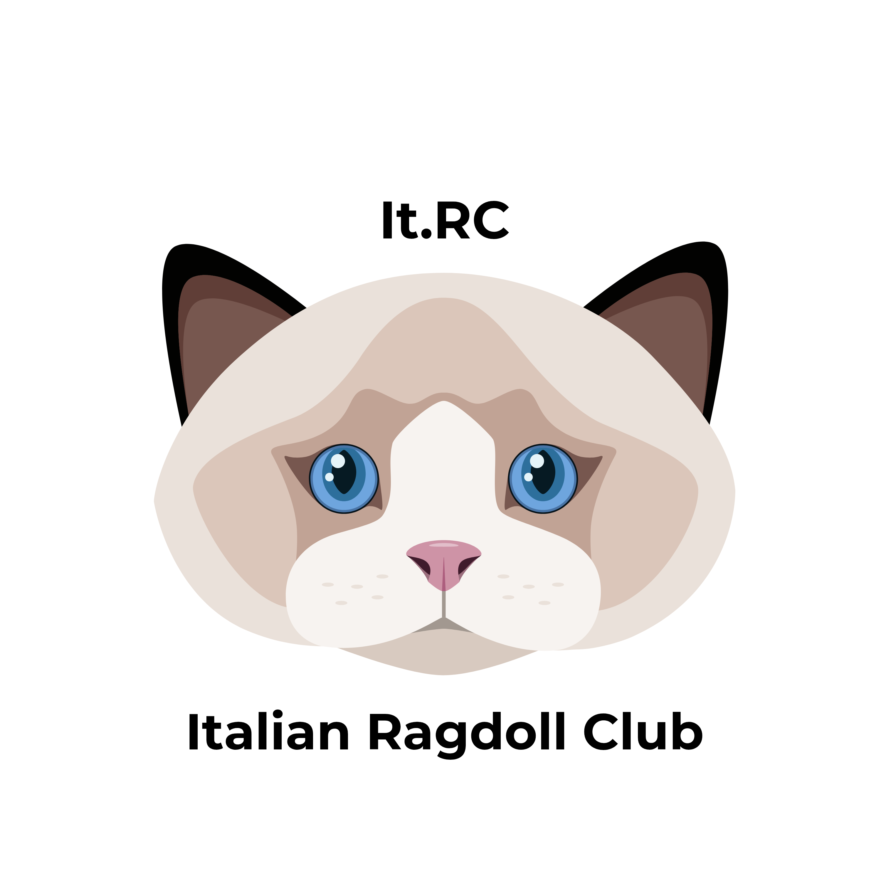 logo ragdoll